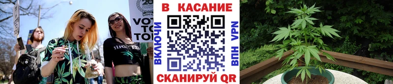 Наркошоп купить Кокаин Амфетамин APVP Гашиш Меф Сунжа