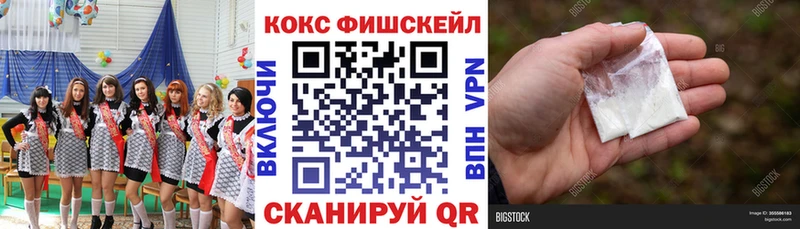 Купить закладки  Сунжа  Cocaine 97% 
