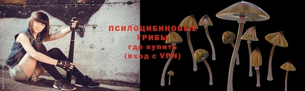 мяу мяу мука Новозыбков