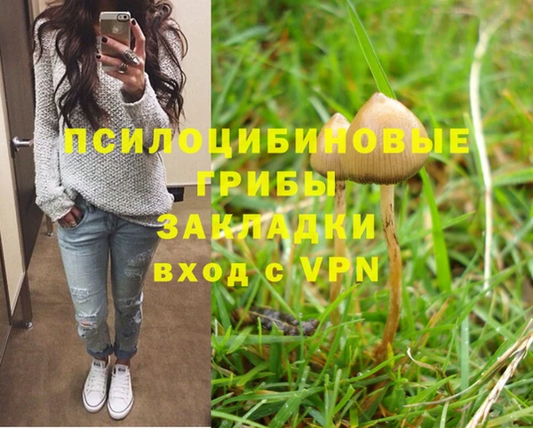 мяу мяу мука Новозыбков