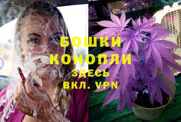 мяу мяу мука Новозыбков