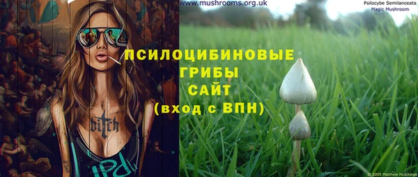 мяу мяу мука Новозыбков