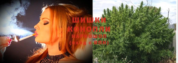 mdma Новодвинск