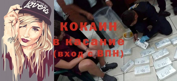 мяу мяу мука Новозыбков
