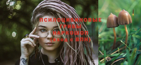 apvp Новокубанск