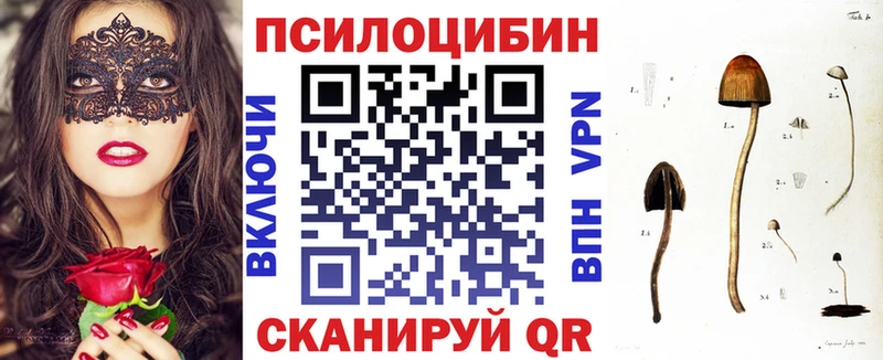 Псилоцибиновые грибы GOLDEN TEACHER  Купить закладки  Сунжа 