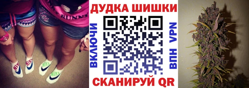 Купить закладки  Сунжа  Бошки Шишки THC 21% 